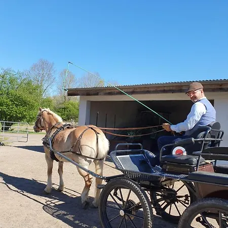 Muehlenhaus Апартаменты